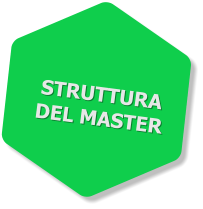 STRUTTURA DEL MASTER